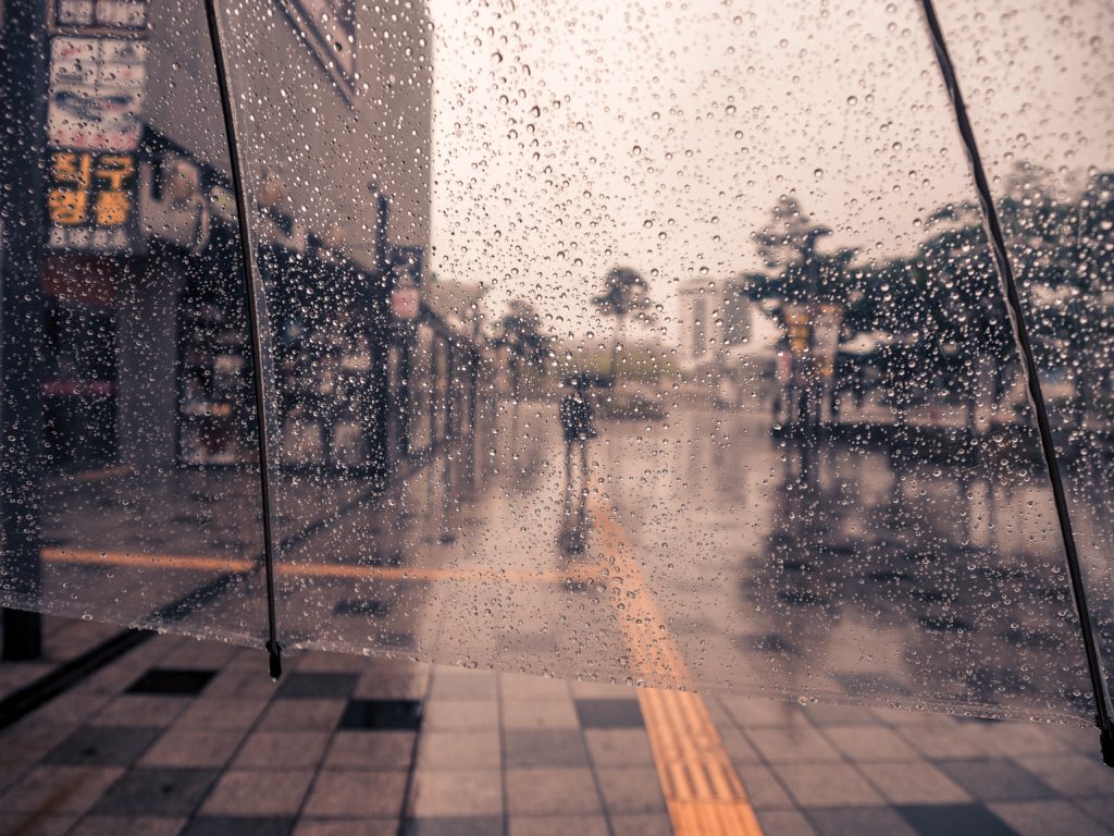 city in the rain